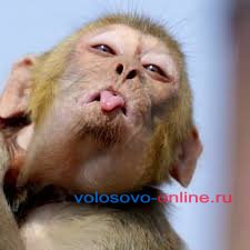 Секс на природе , в авто , в отеле