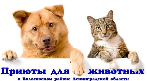 Приюты для бездомных животных в Волосовском р-не Лен.области